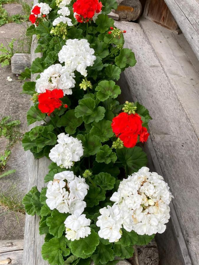 Almnest In Hochfuegen Mit Privat Spa Dış mekan fotoğraf